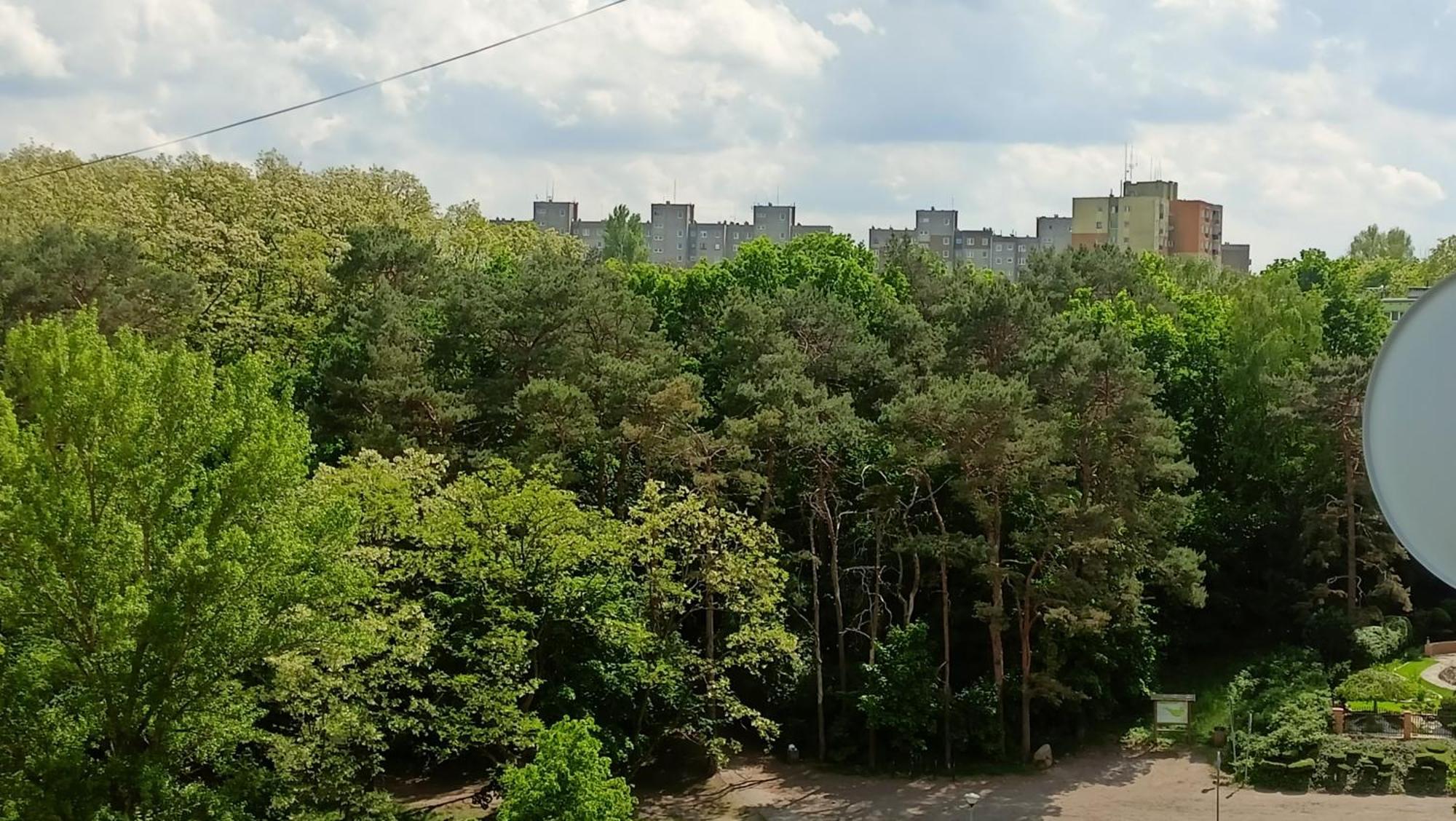 Drzewna Apartamenty - Wladyslawa Zielona Gora  Luaran gambar